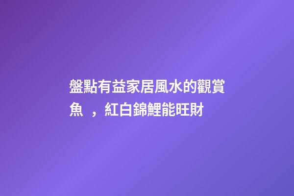盤點有益家居風水的觀賞魚，紅白錦鯉能旺財